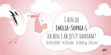 Baby-Banner: Storch 